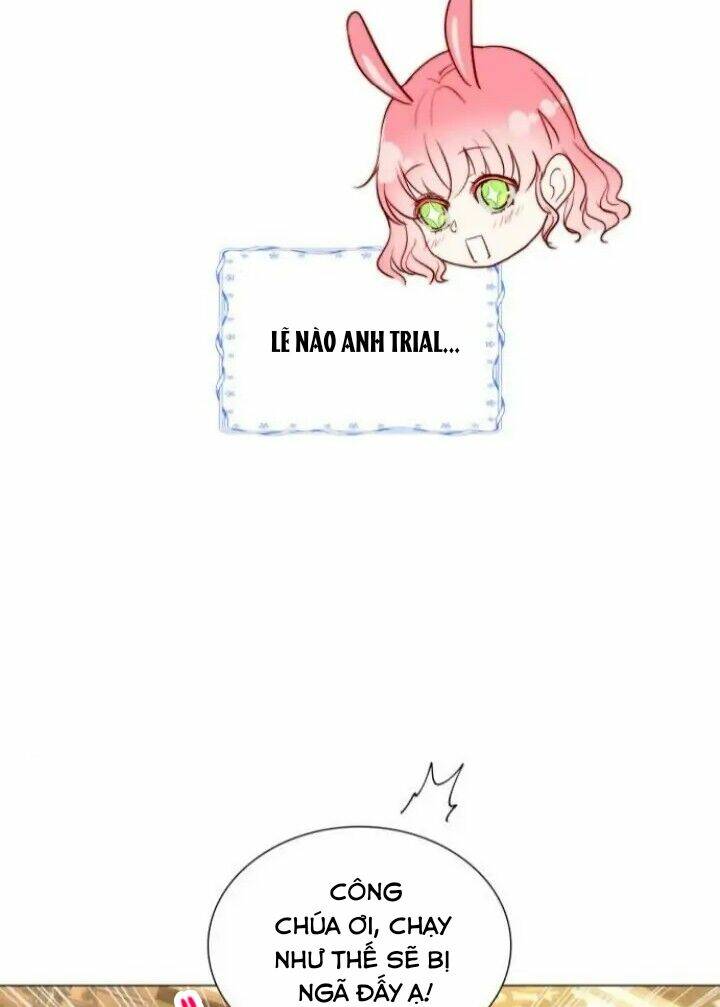 page_28.jpg