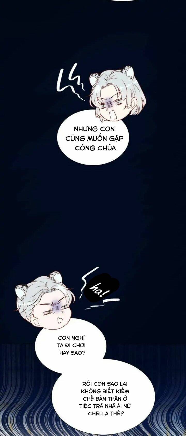 page_40.jpg