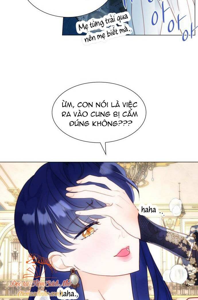 page_23.jpg