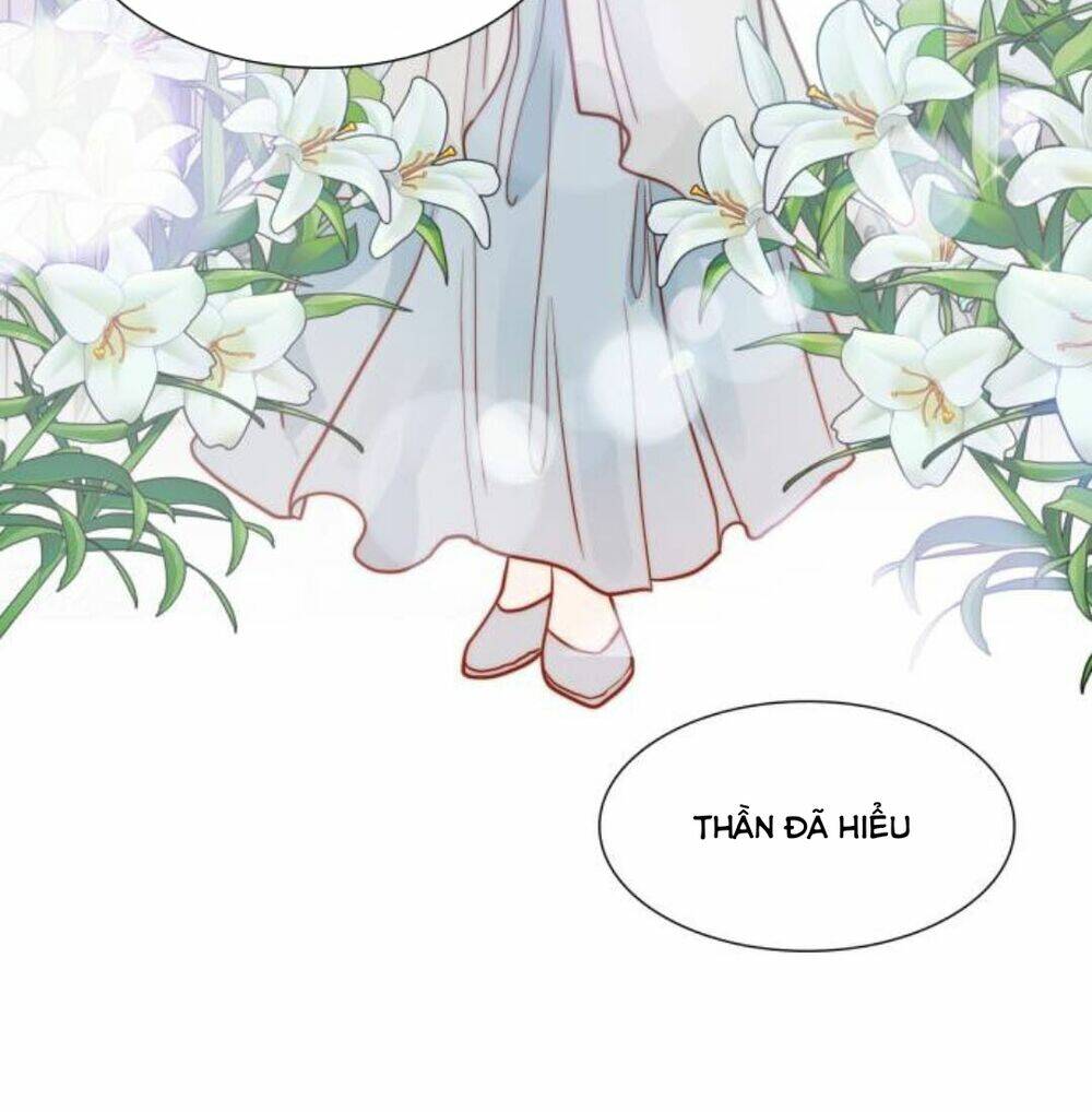 page_38.jpg