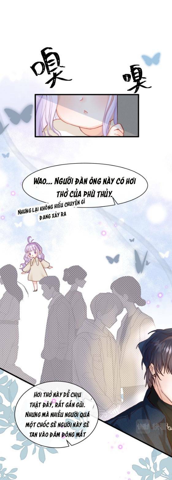 page_29.jpg