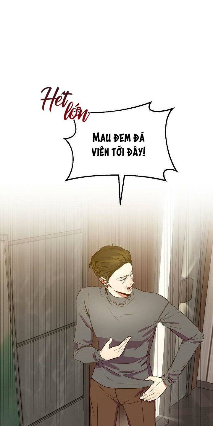 page_46.jpg
