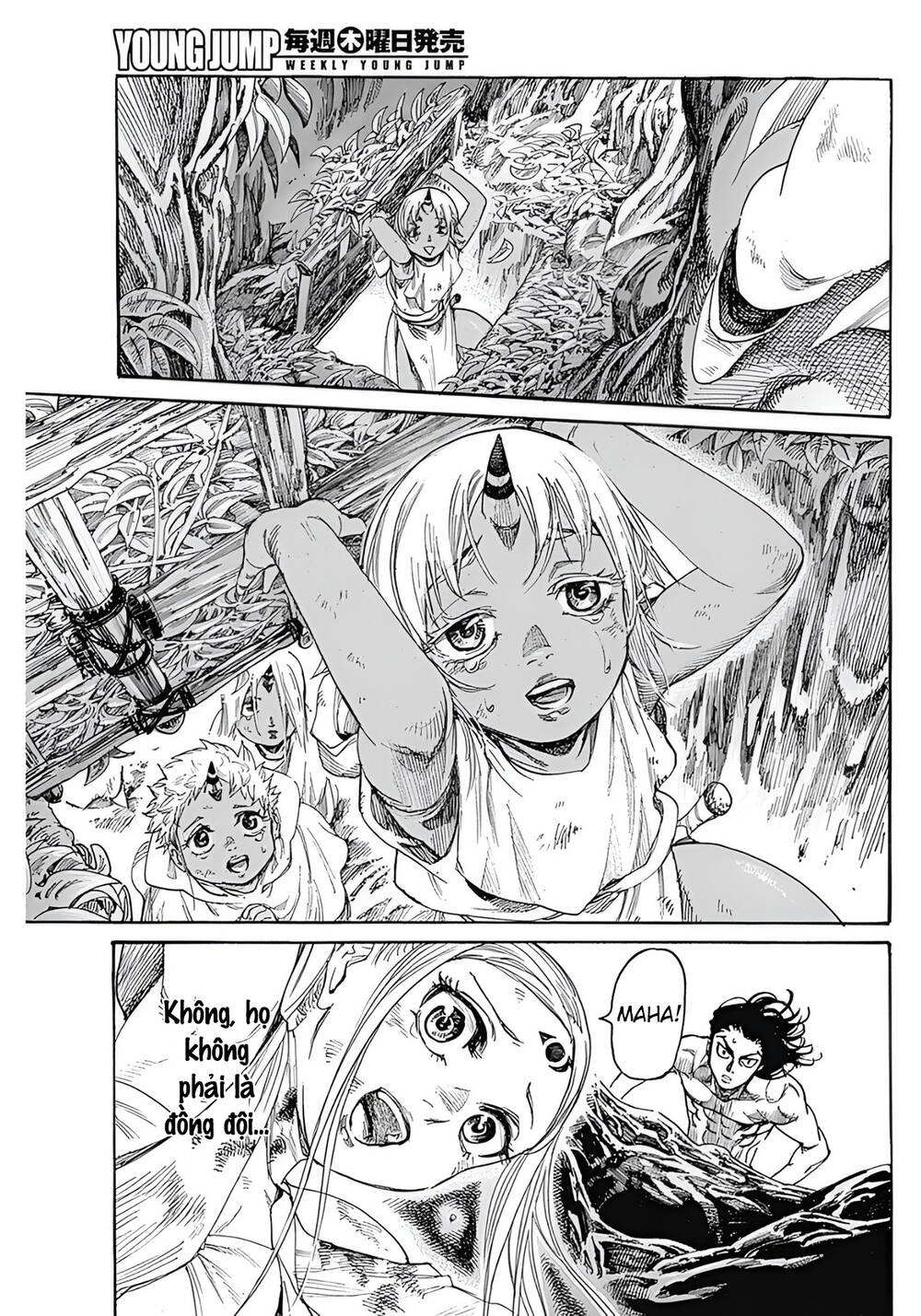 page_13.jpg