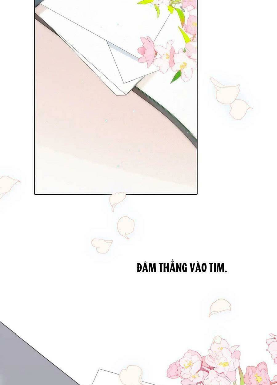 page_26.jpg