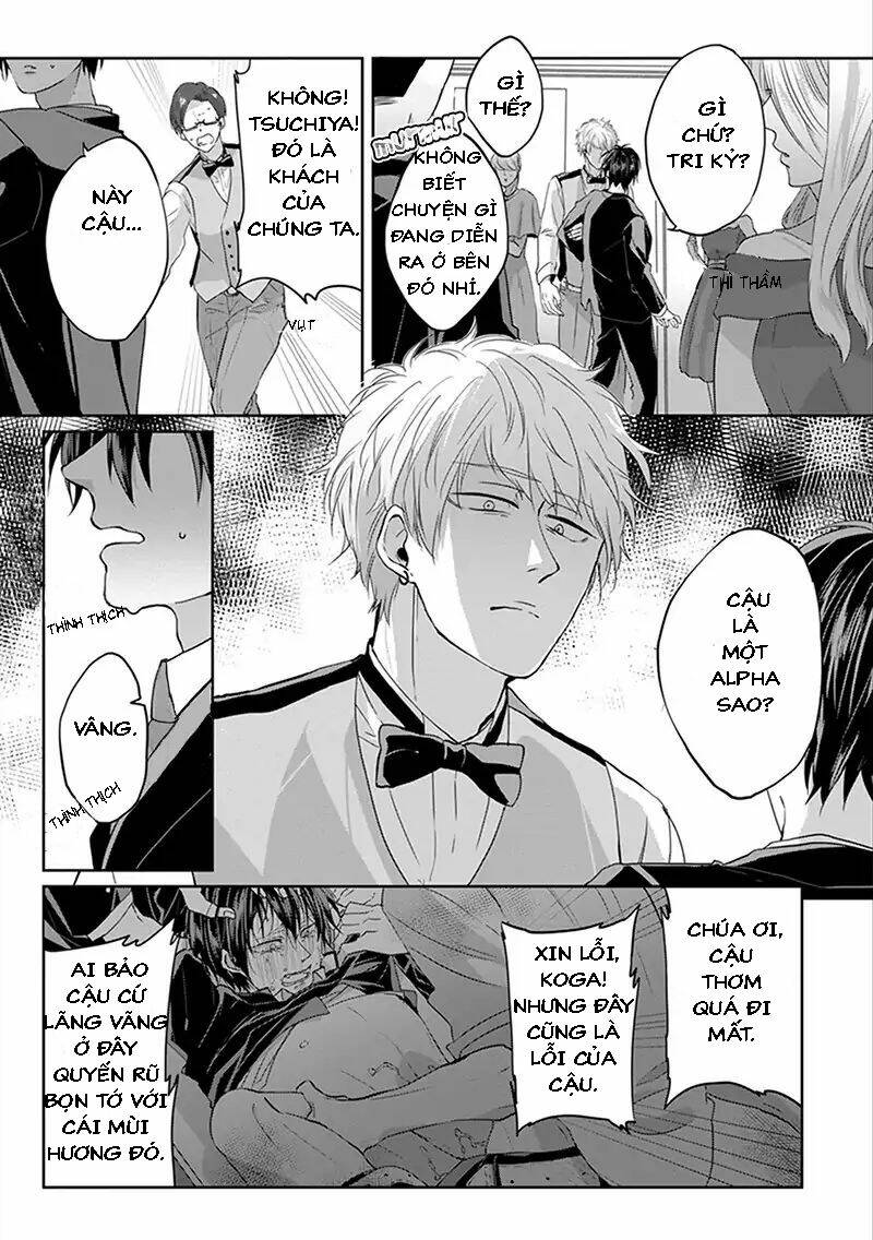 page_14.jpg