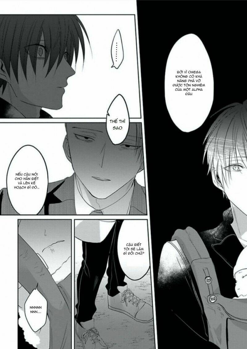 page_21.jpg