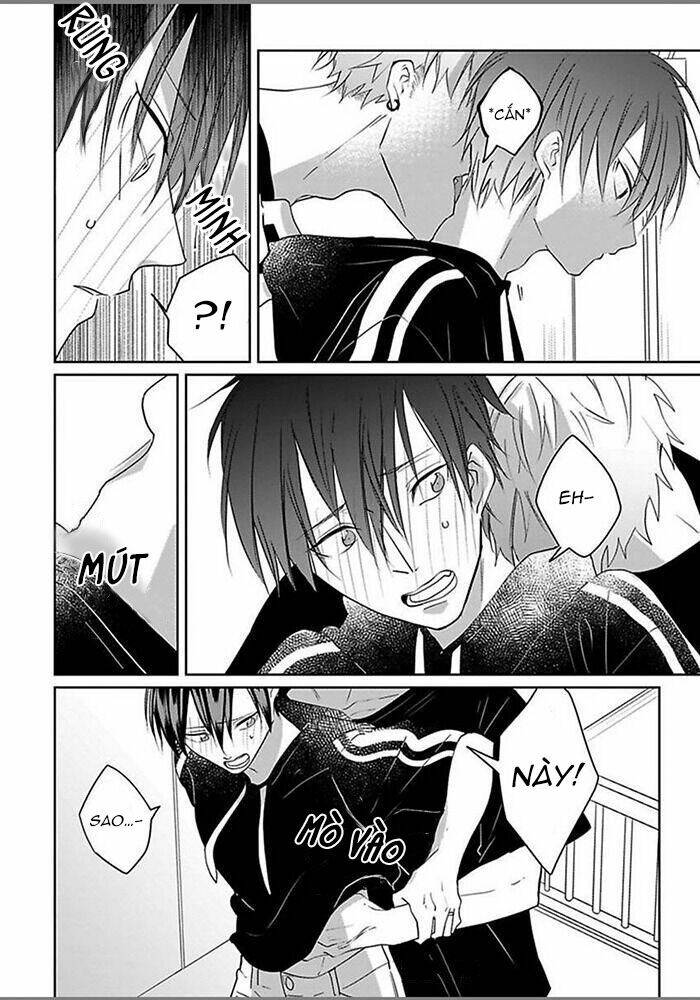 page_16.jpg