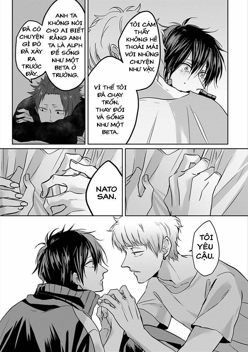 page_17.jpg