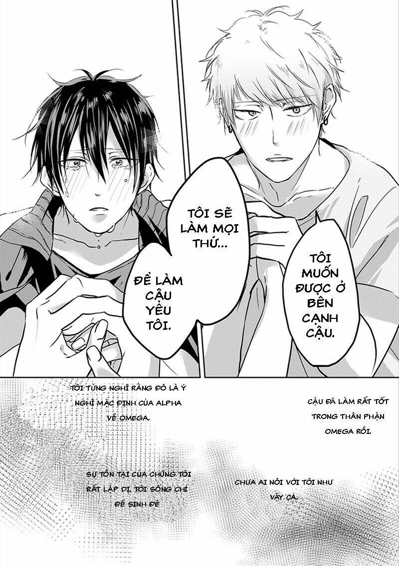 page_19.jpg