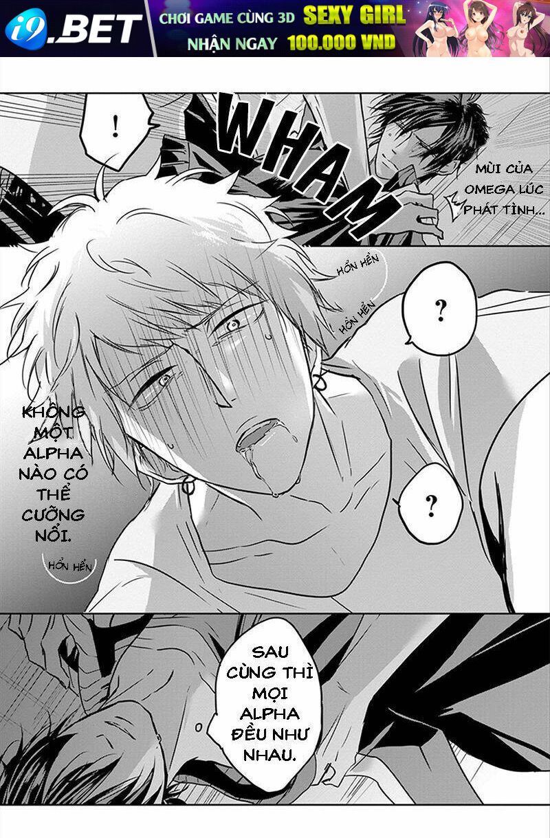 page_21.jpg