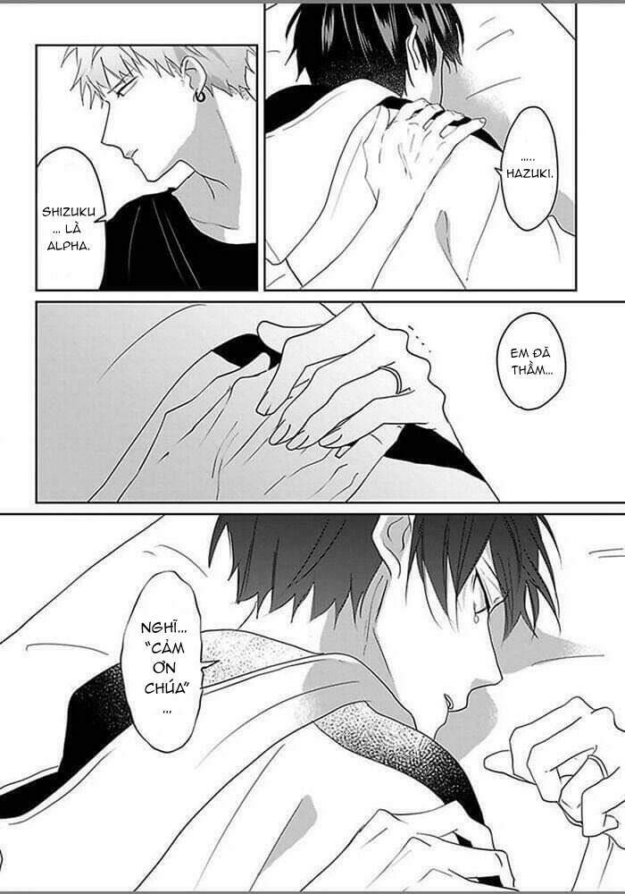page_28.jpg