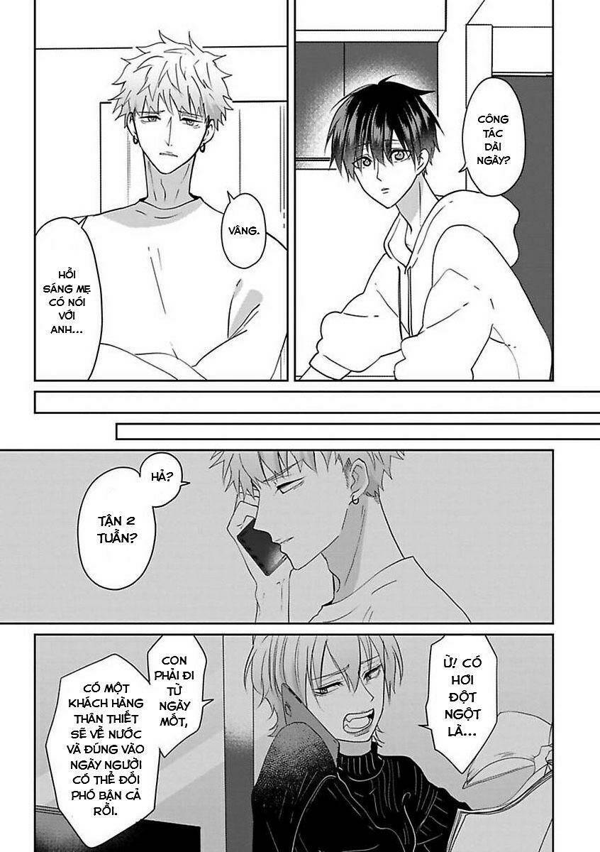 page_17.jpg