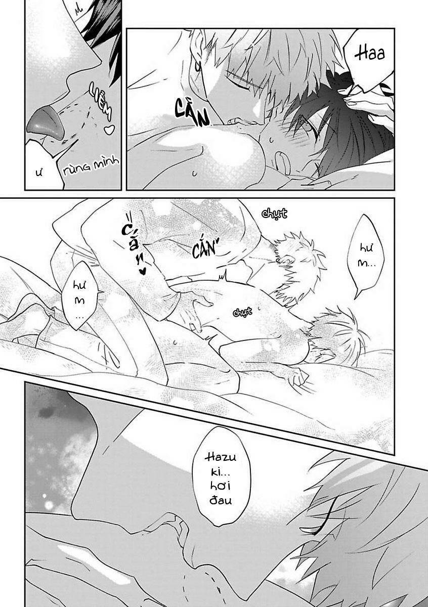 page_23.jpg