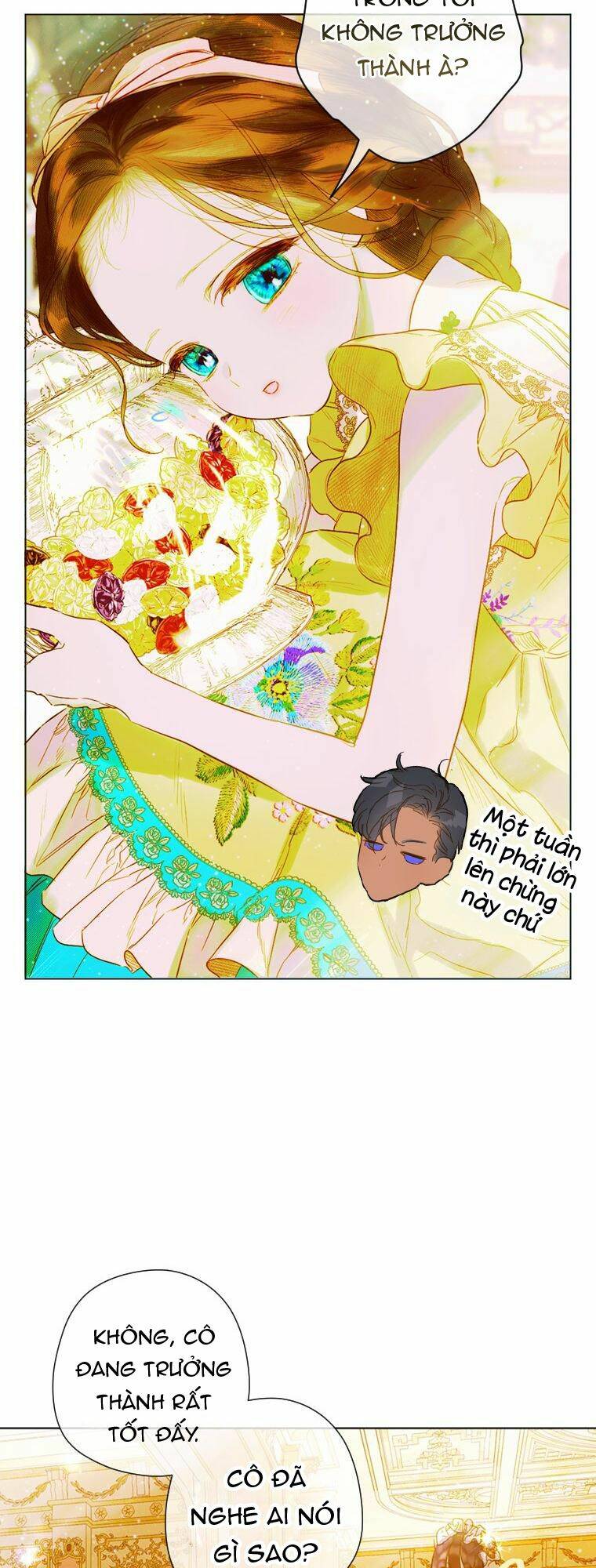 page_20.jpg