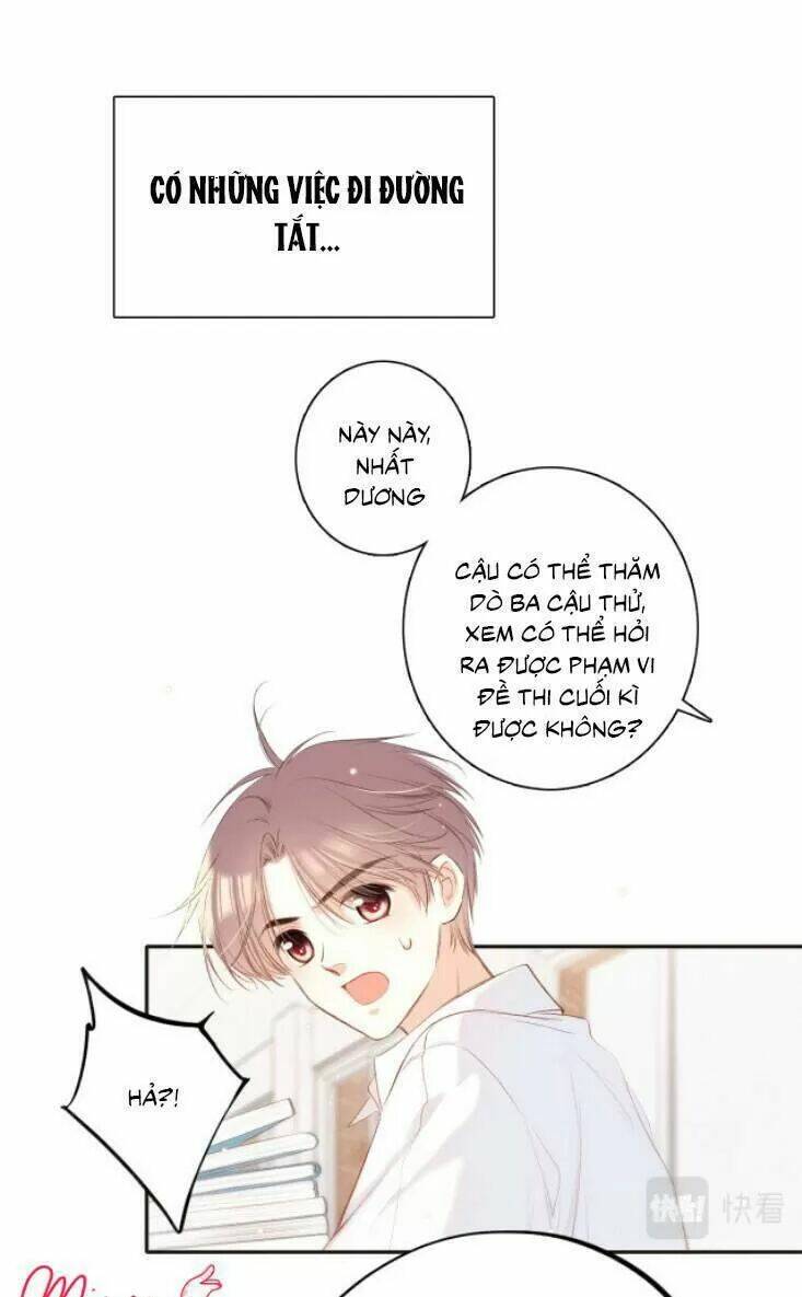 page_17.jpg