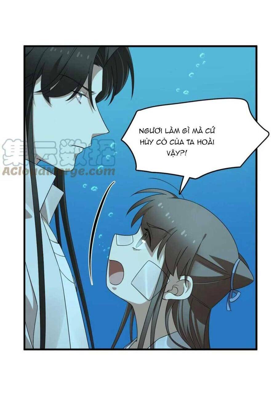 page_14.jpg