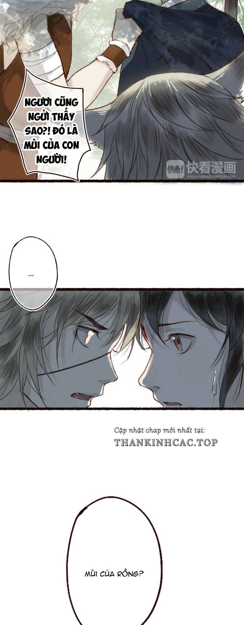 page_27.jpg