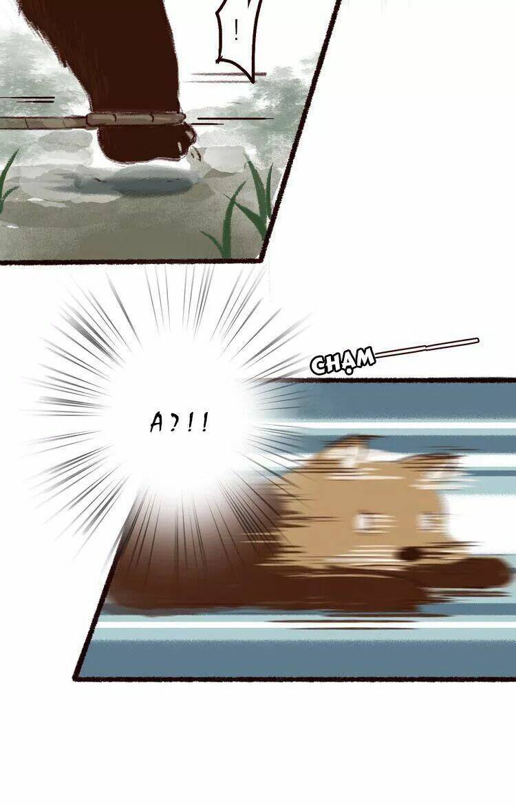 page_29.jpg