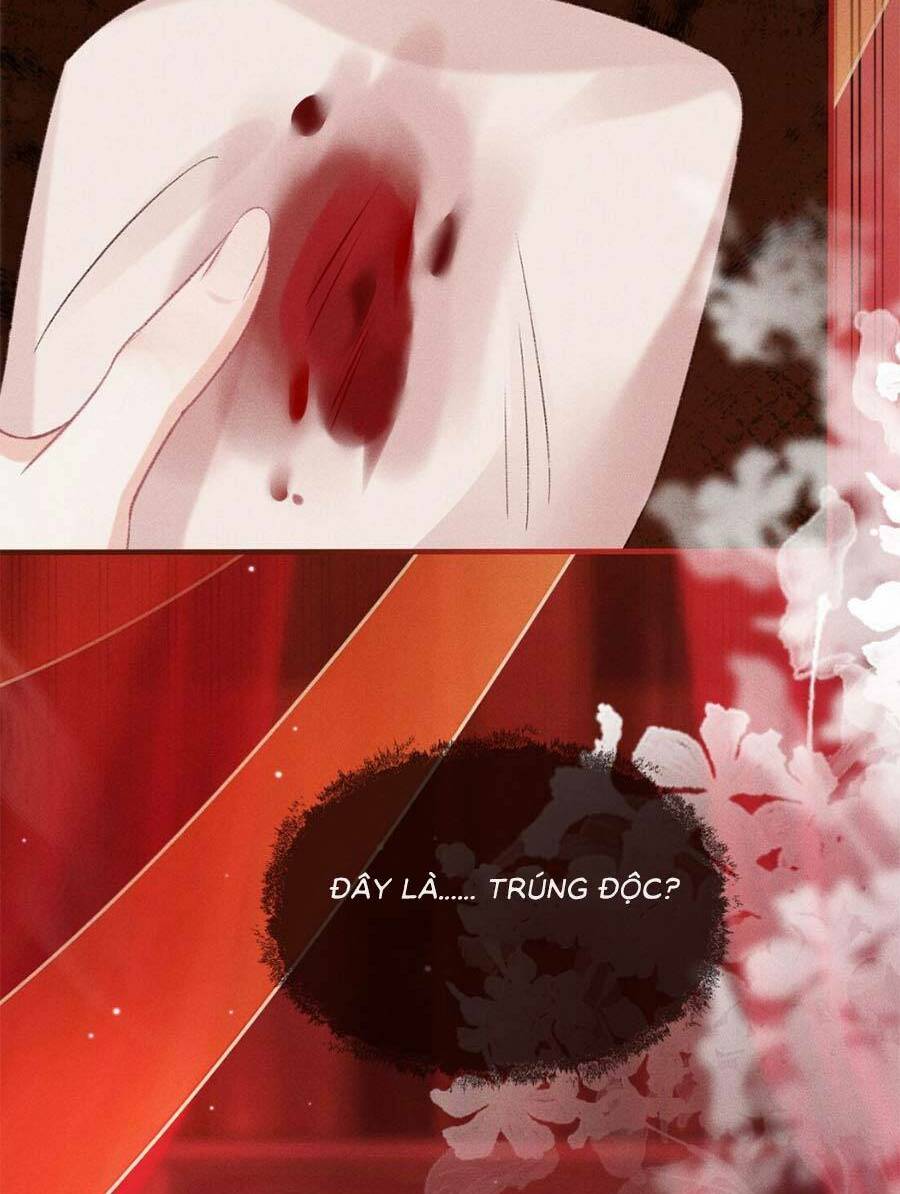 page_19.jpg