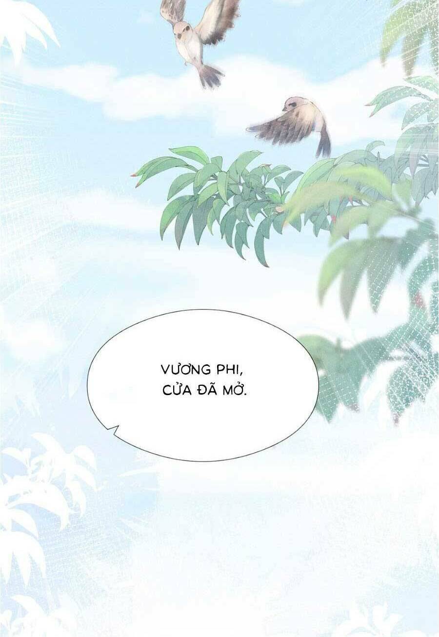 page_24.jpg