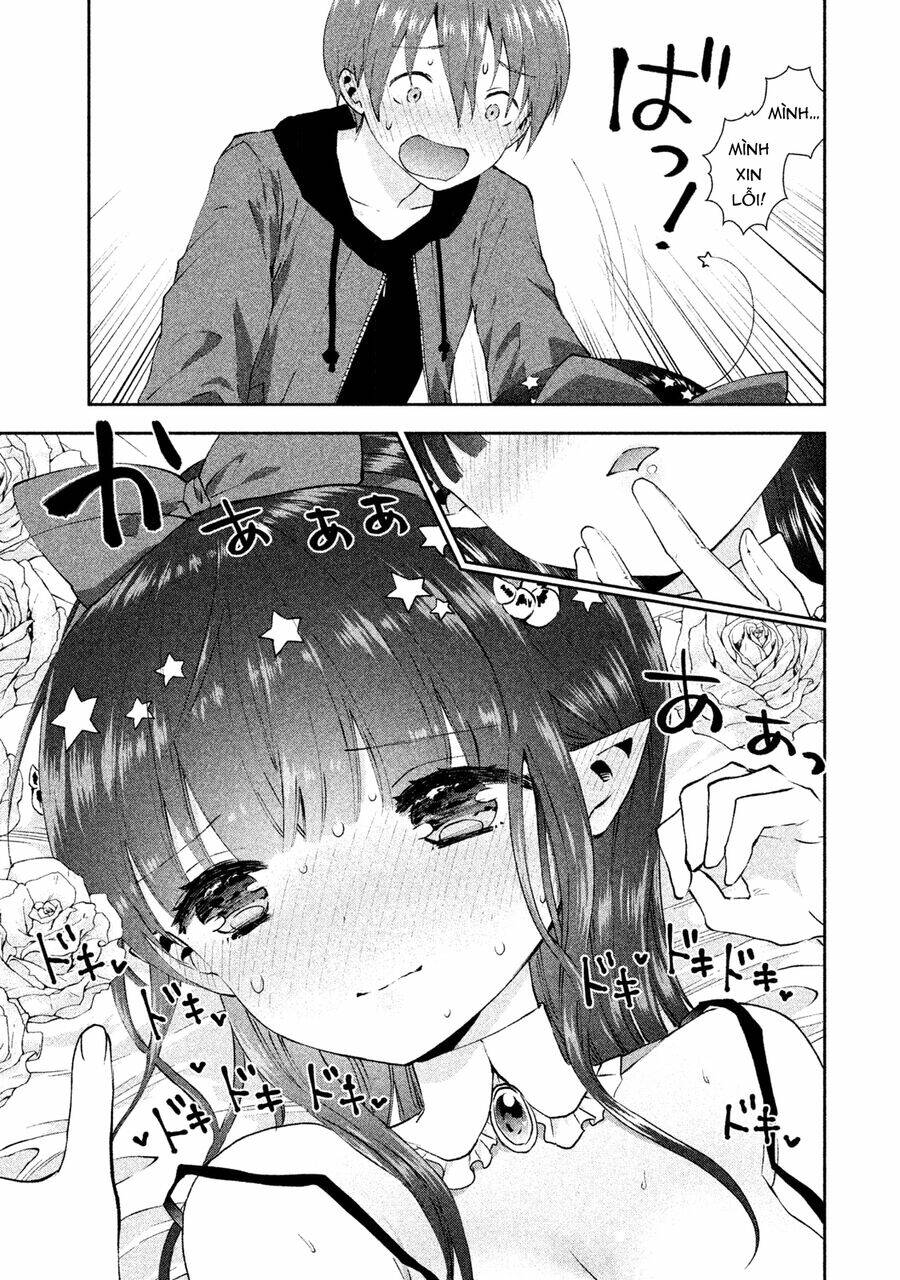 page_20.jpg