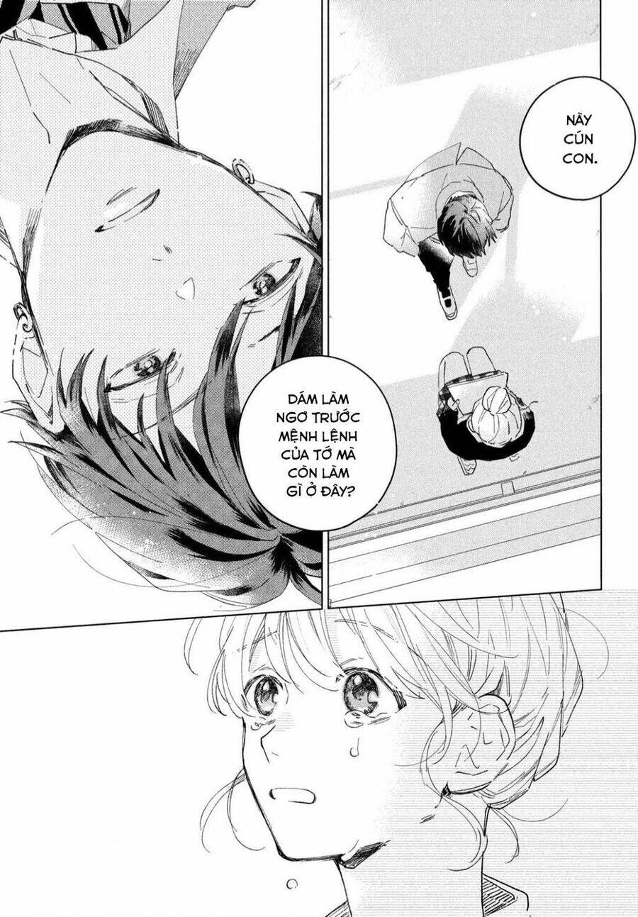 page_27.jpg