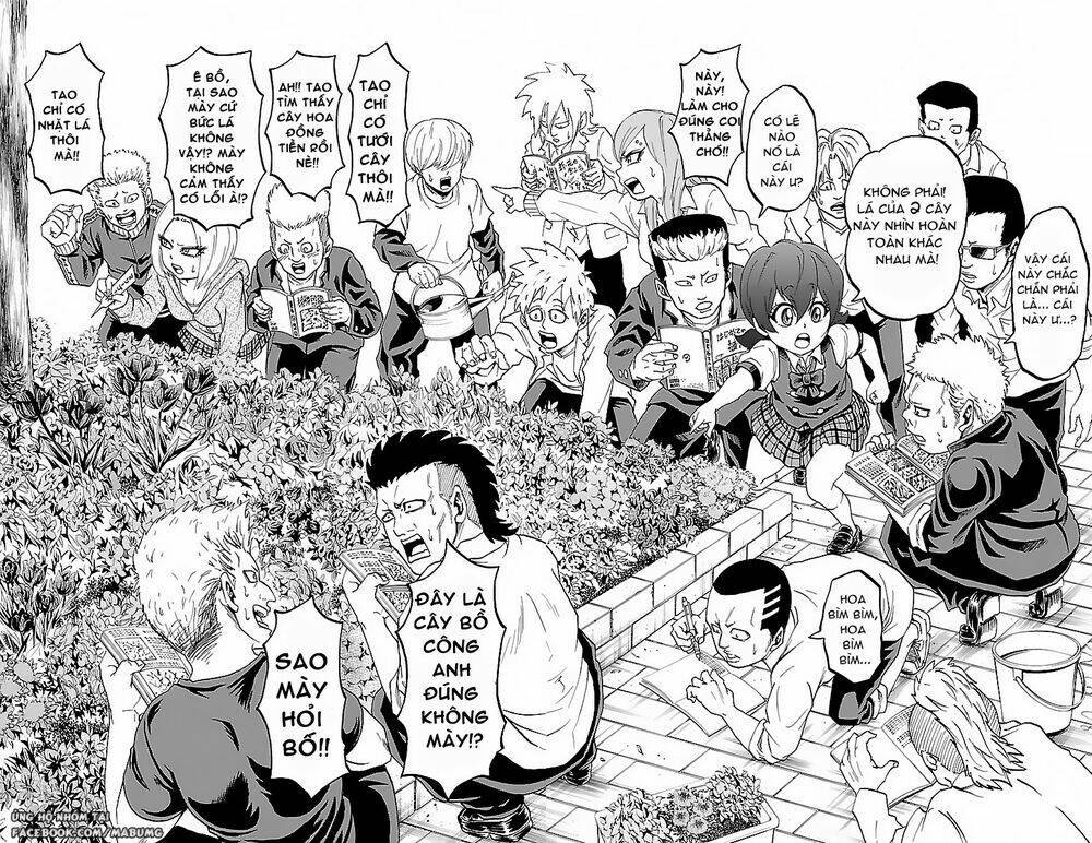 page_21.jpg