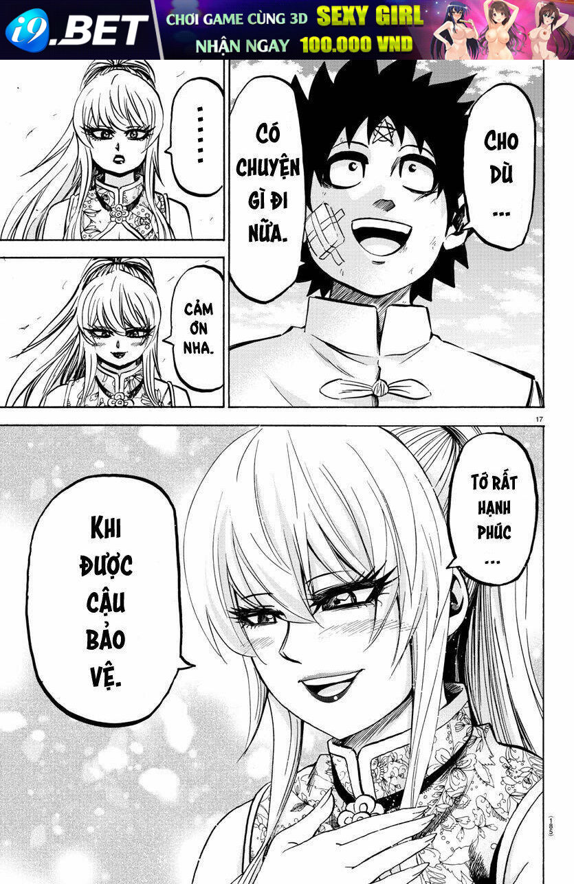 page_17.jpg