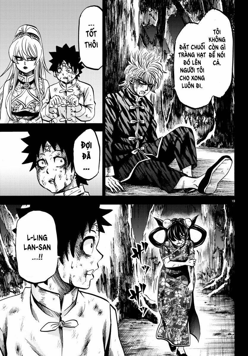 page_19.jpg