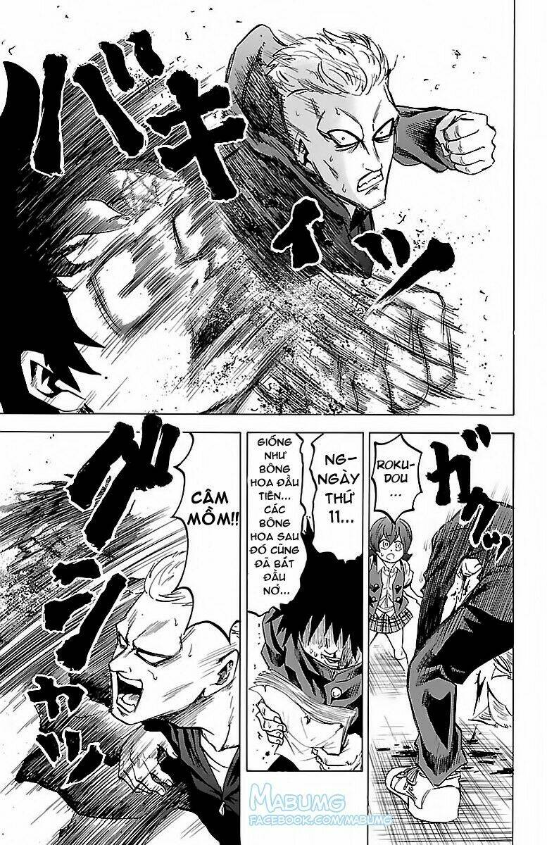 page_13.jpg