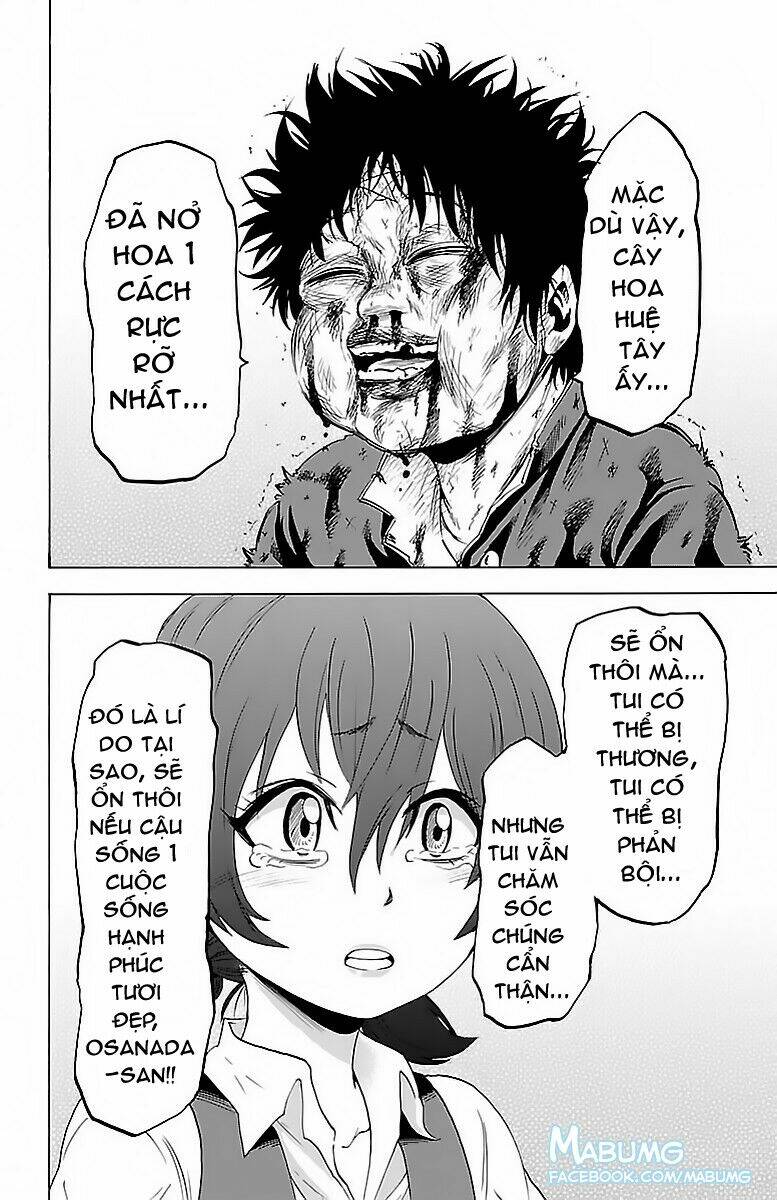 page_18.jpg