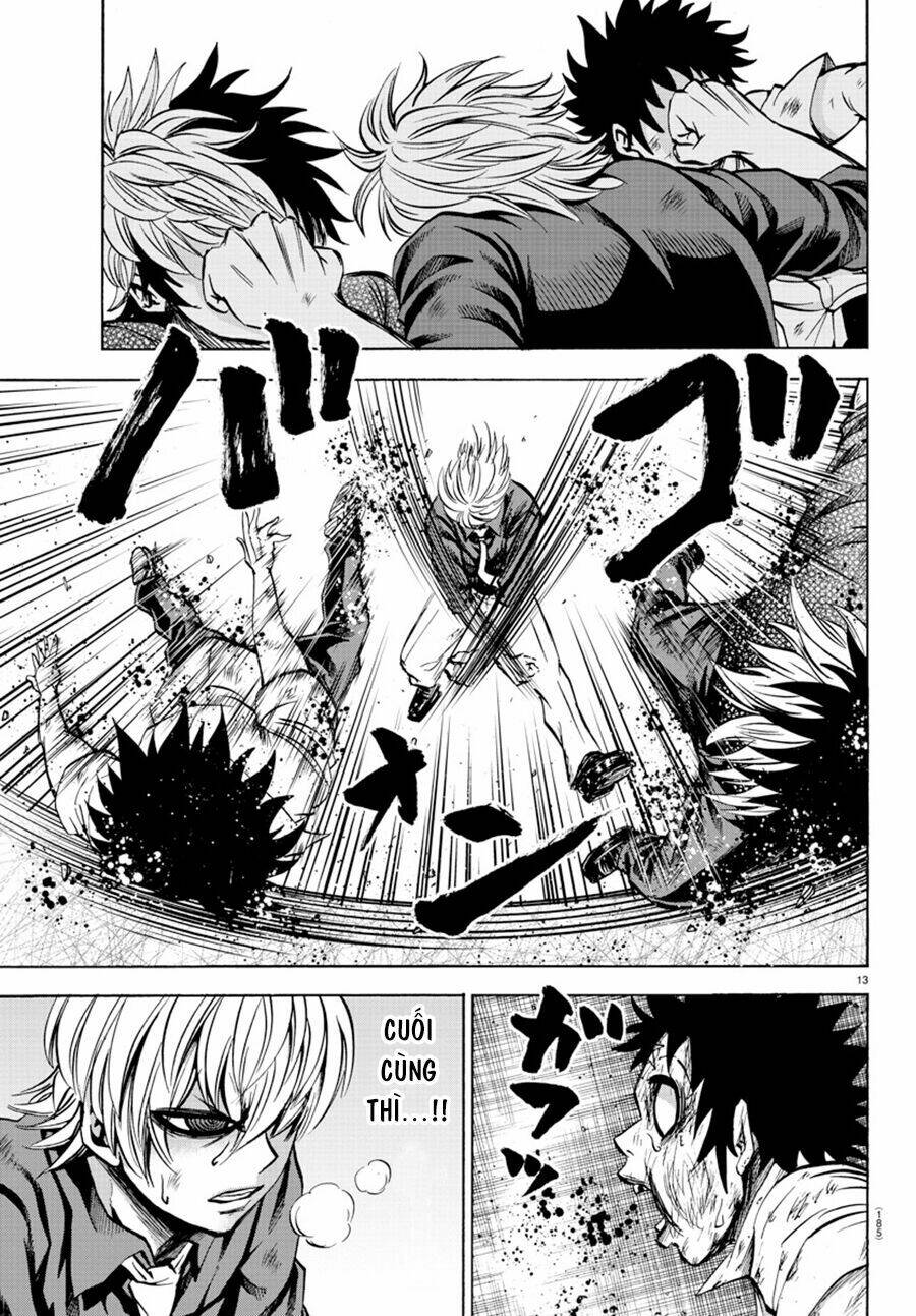 page_13.jpg