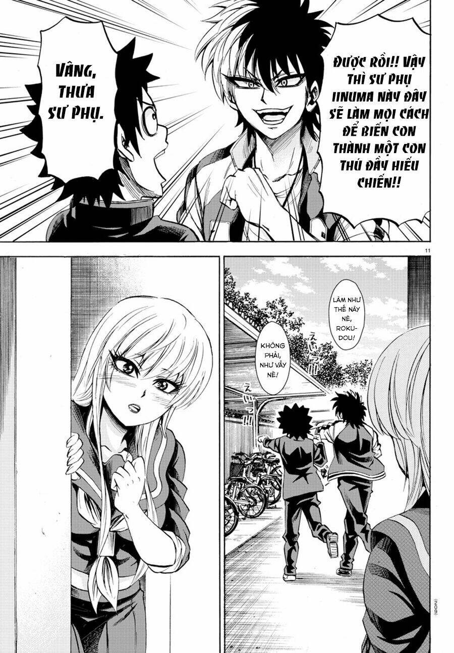 page_13.jpg