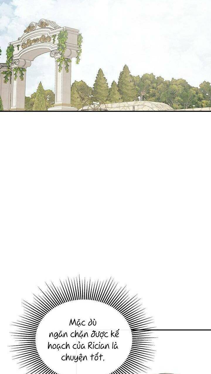 page_19.jpg