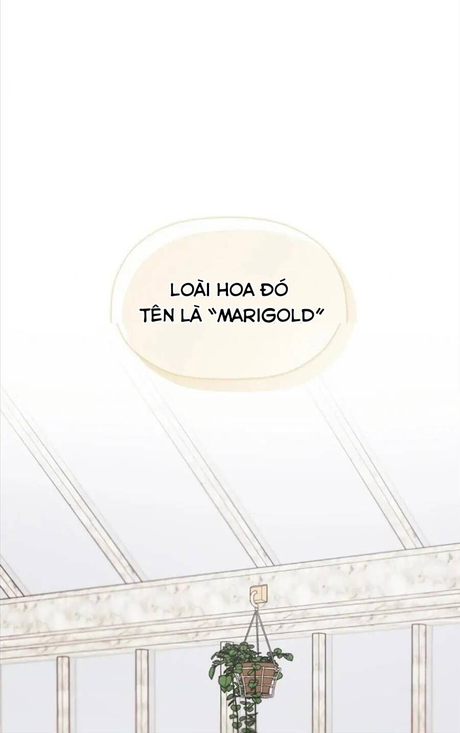 page_25.jpg