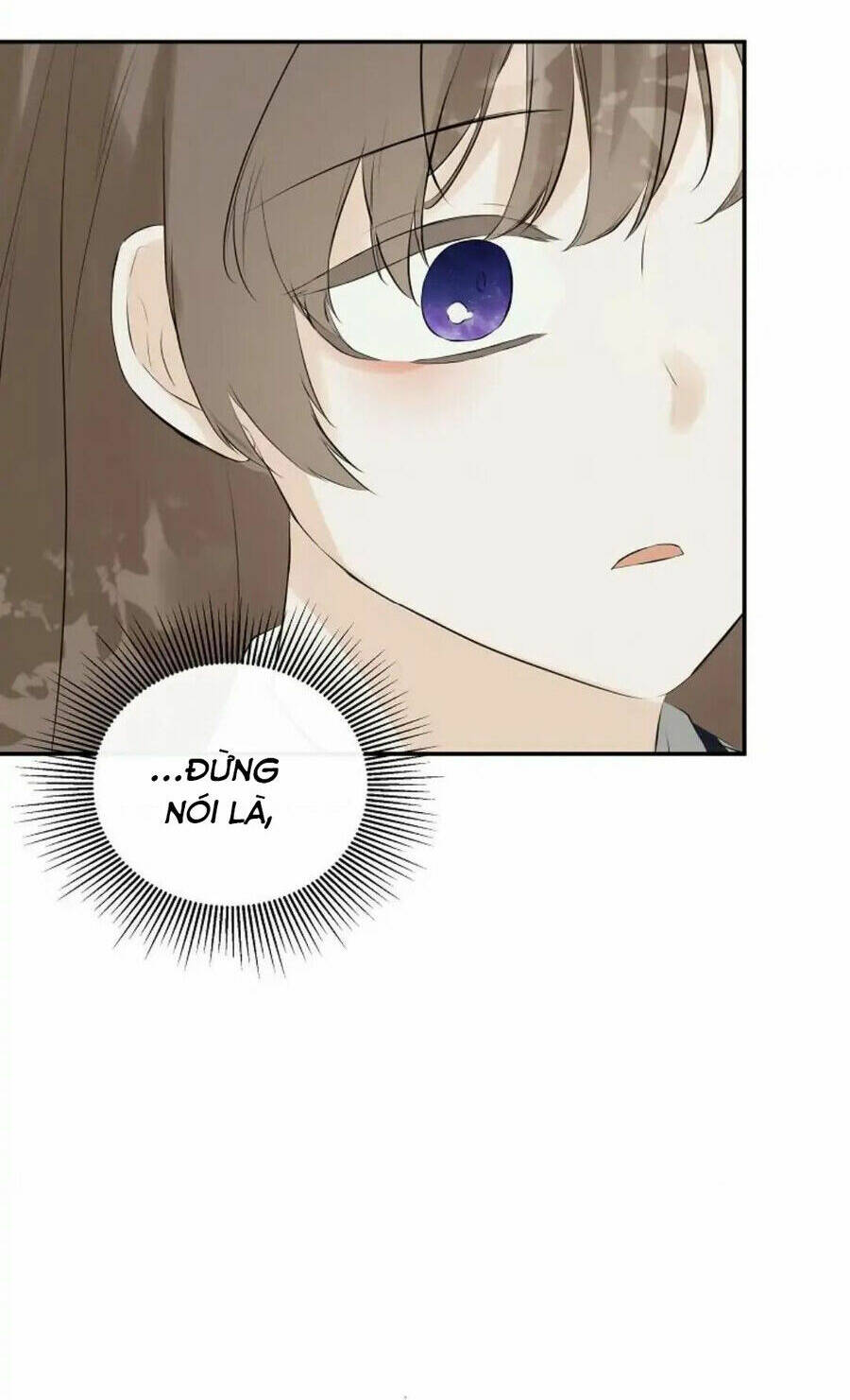 page_40.jpg