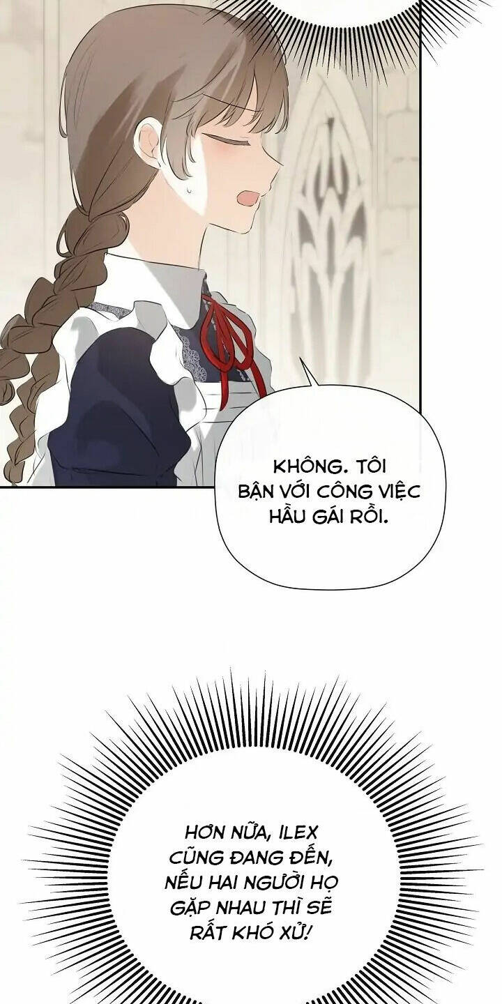 page_20.jpg