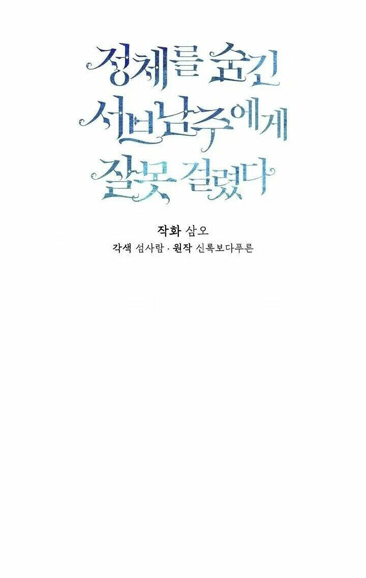 page_29.jpg