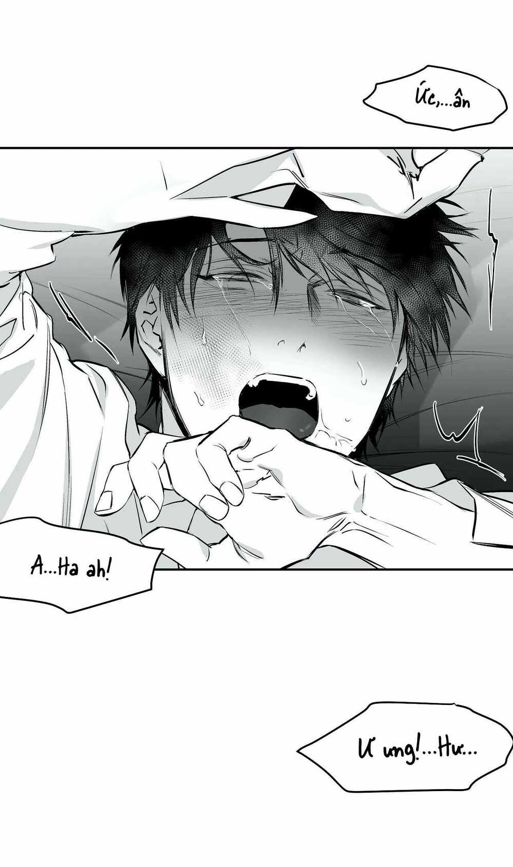 page_11.jpg