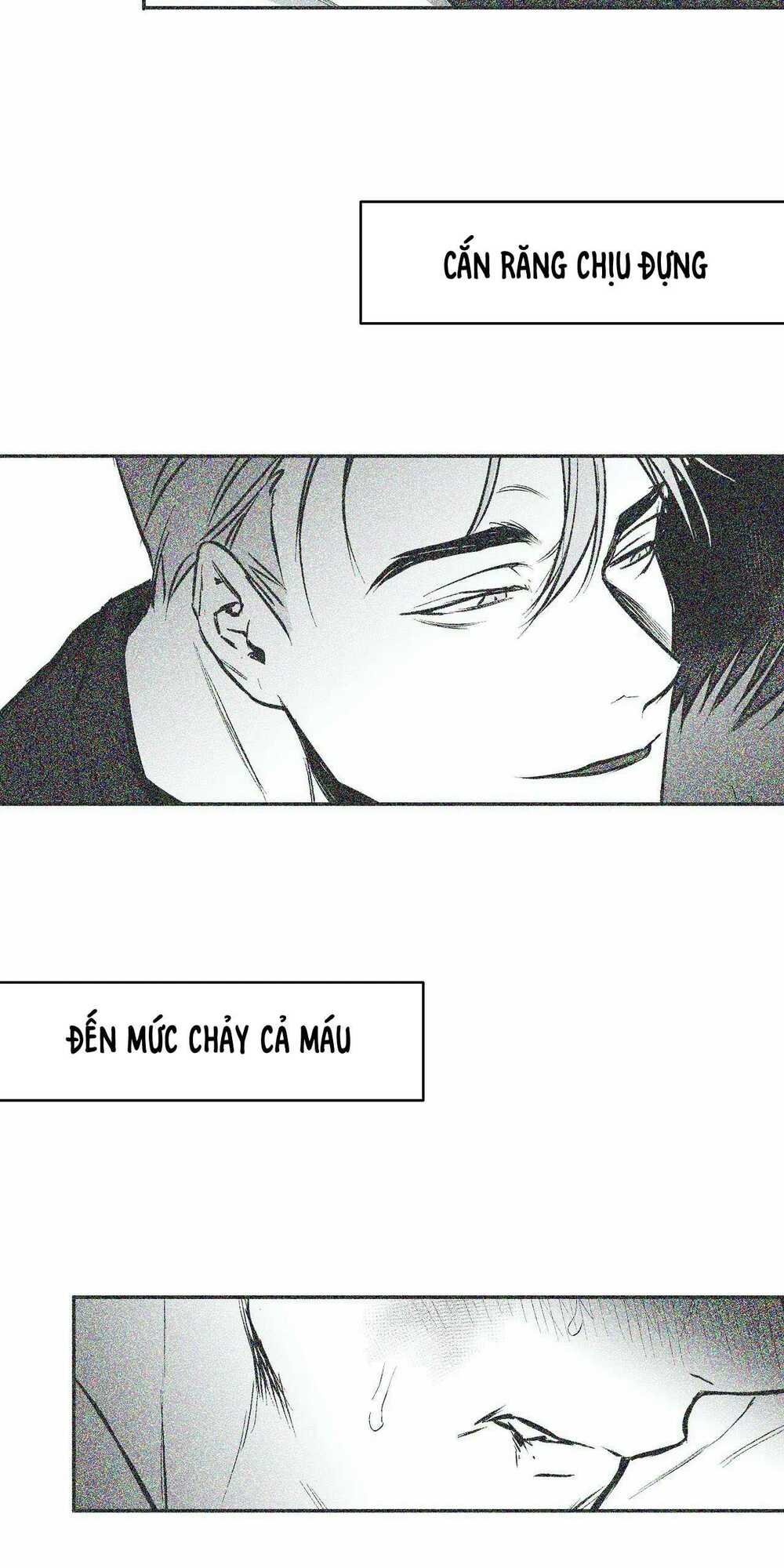 page_25.jpg