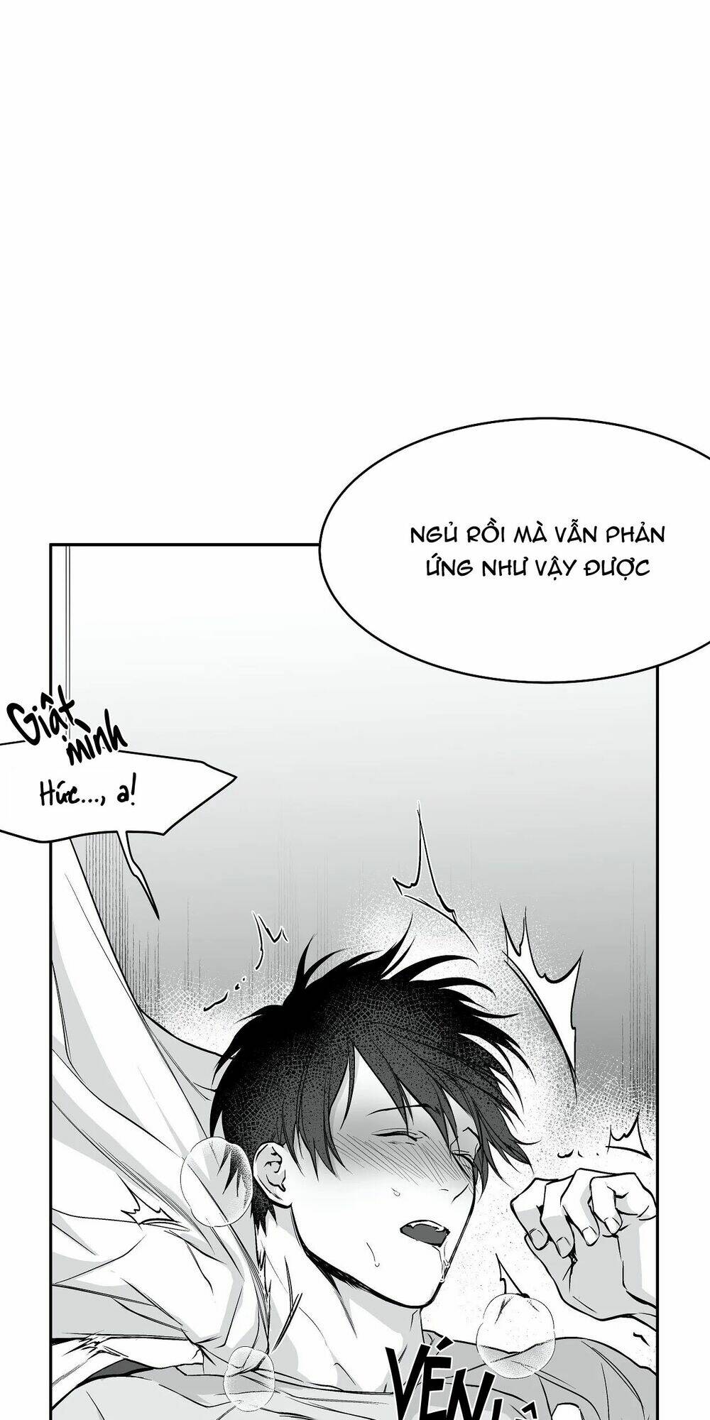page_27.jpg