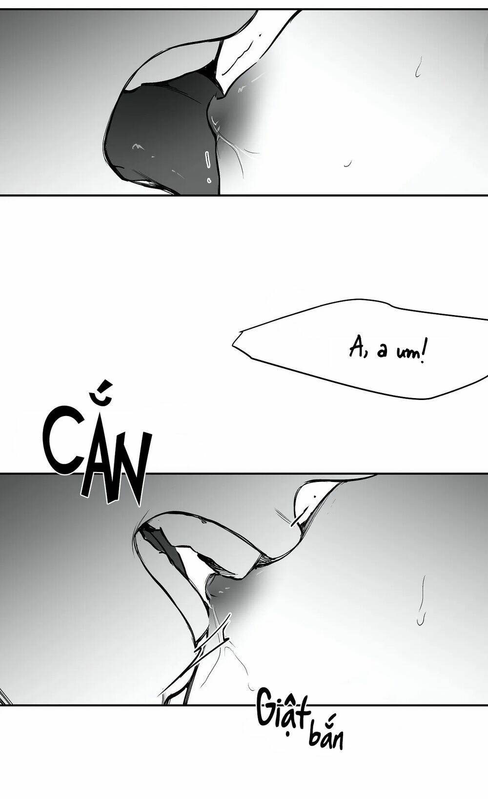 page_37.jpg