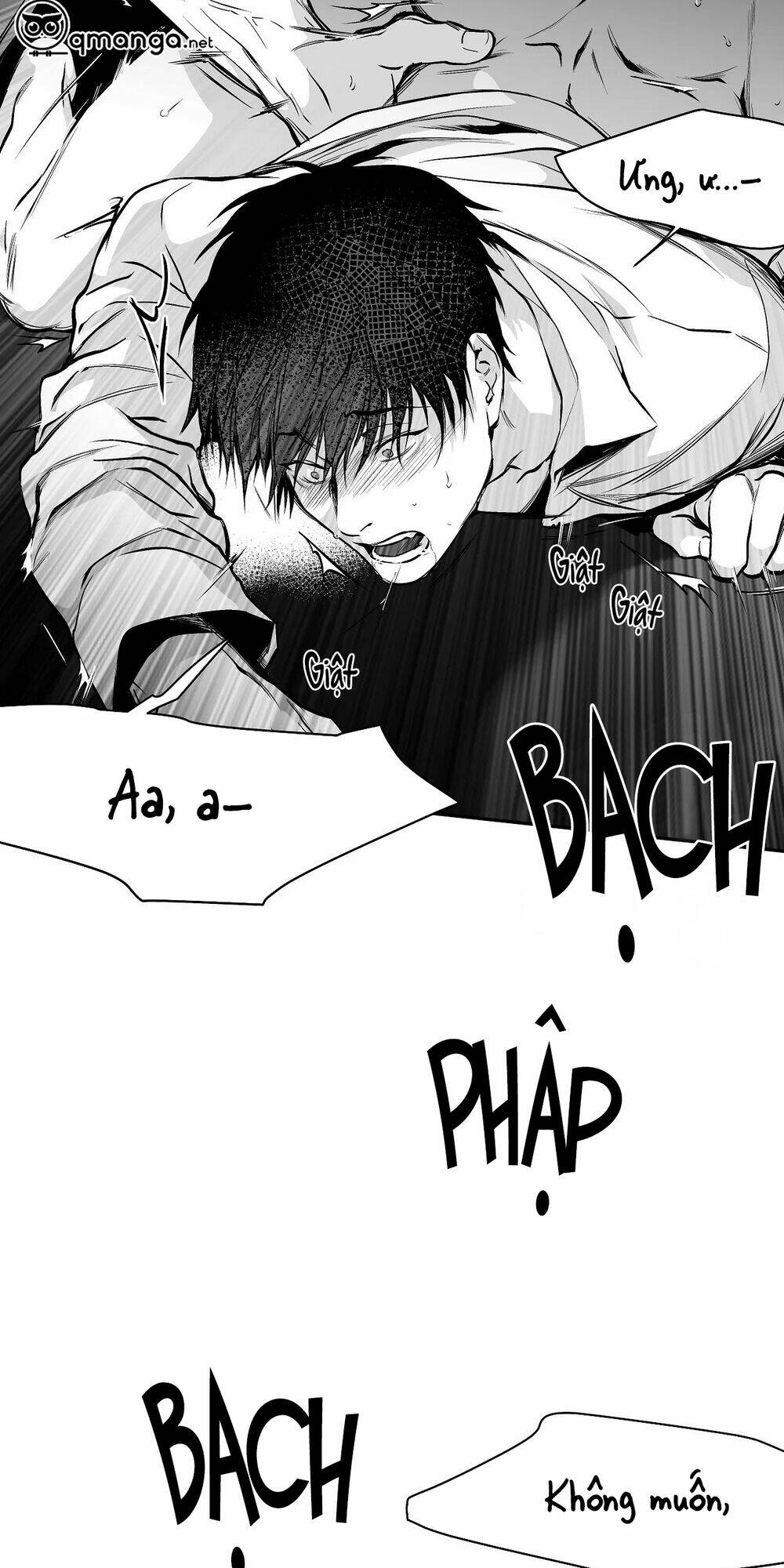 page_13.jpg