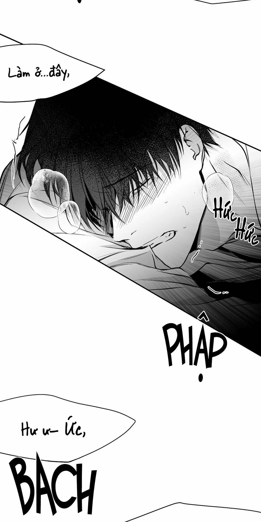 page_14.jpg