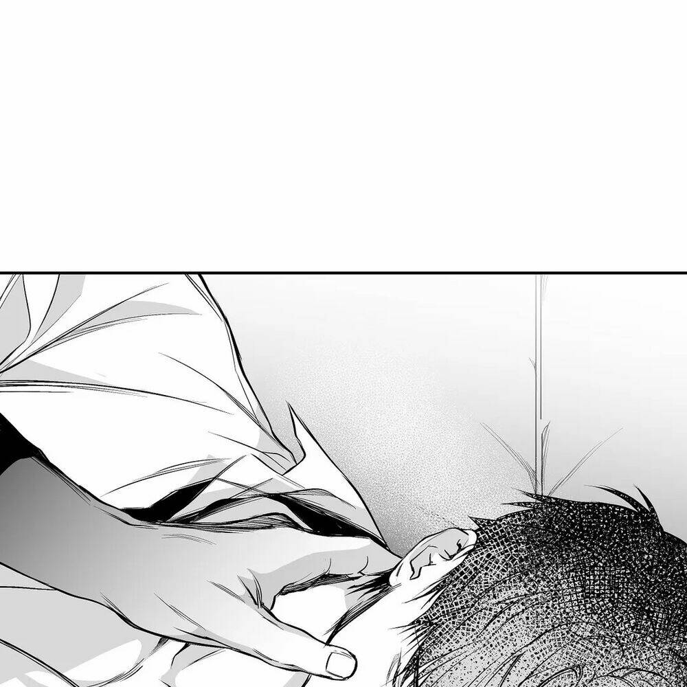 page_25.jpg