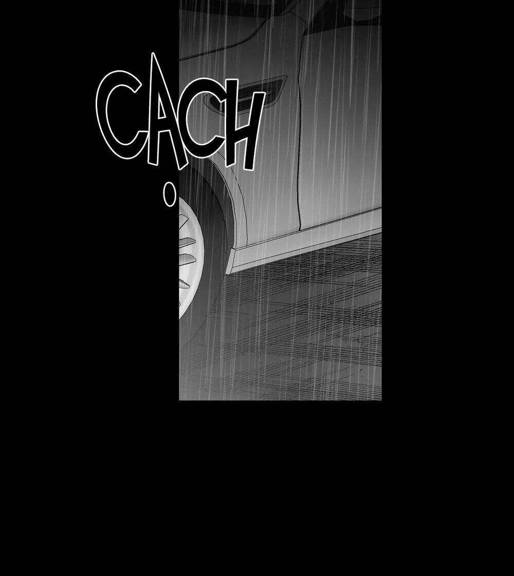 page_24.jpg