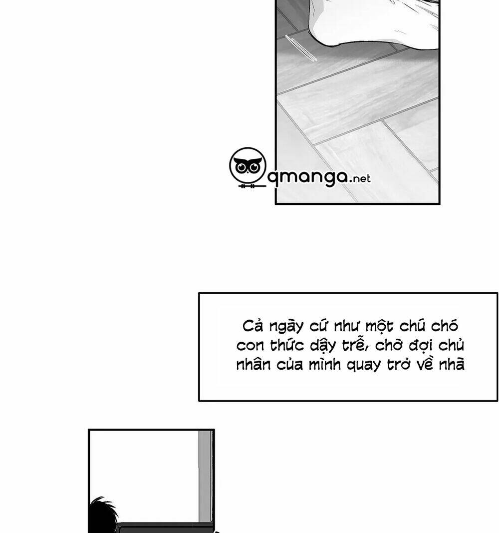 page_24.jpg