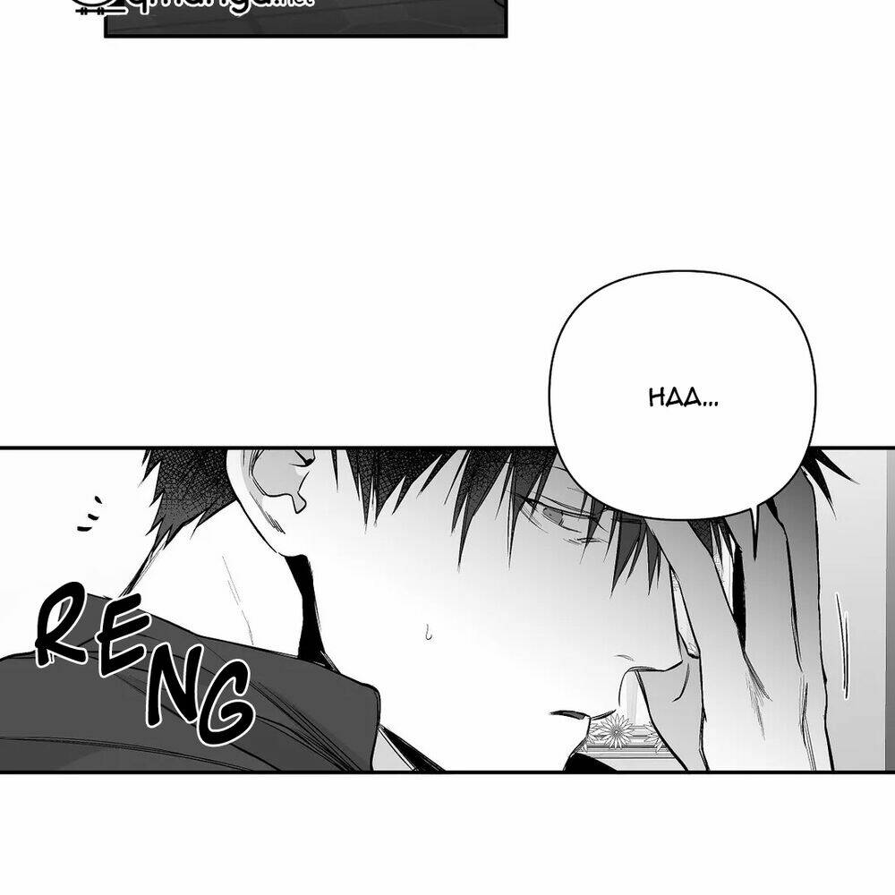 page_21.jpg