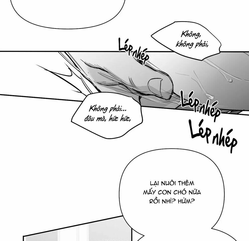 page_117.jpg