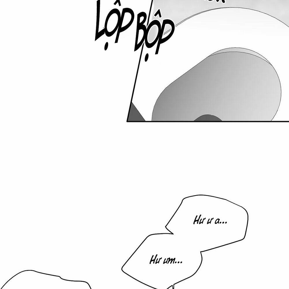 page_24.jpg